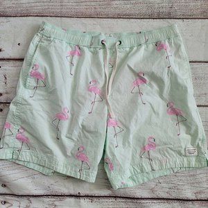 Modern Amusement Swim Trunks Flamingo
